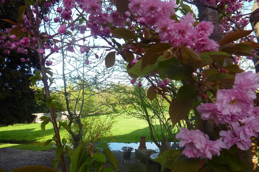 B&B Bloom Amsterdam Bilik gambar